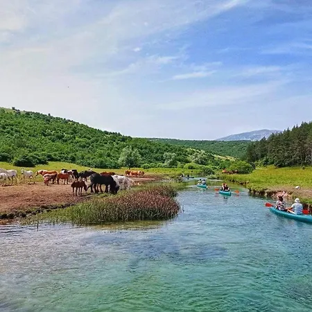 Stupe Livno